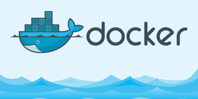 You are currently viewing Docker, quel est donc ce mammifère?